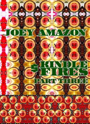 Cover of the book Joey Amazon Kindle Fires. Part 3. by Joseph Anthony Alizio Jr., Edward Joseph Ellis, Vincent Joseph Allen