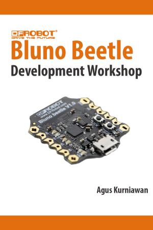 Book cover of Bluno Beetle Development Workshop