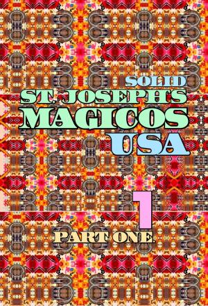 Book cover of Solid St. Joseph's Magicos USA. Part 1.