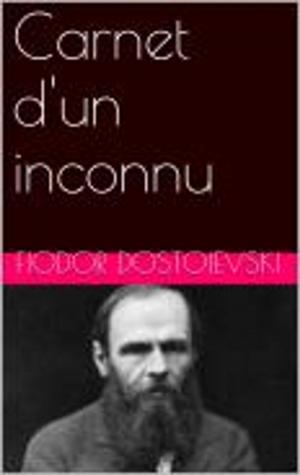 Cover of the book Carnet d'un inconnu by Alphonse Daudet
