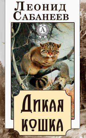 Cover of the book Дикая кошка by Редьярд Киплинг