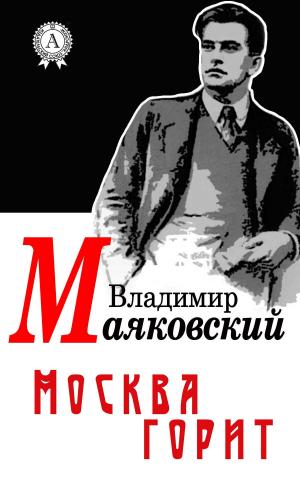 Cover of the book Москва горит by Ефрем Сирин