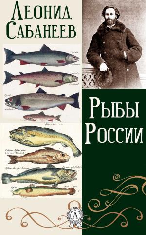 Cover of the book Рыбы России by Cristina Contero Garrido