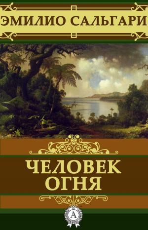 Book cover of Человек огня