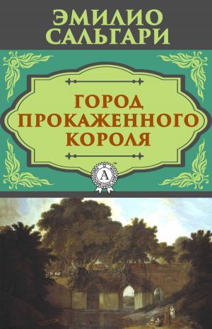 Book cover of Город прокаженного короля