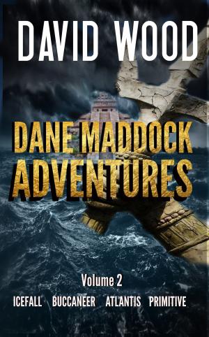 Cover of The Dane Maddock Adventures Volume 2