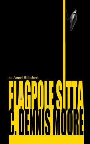 Cover of the book Flagpole Sitta by Tim Waggoner