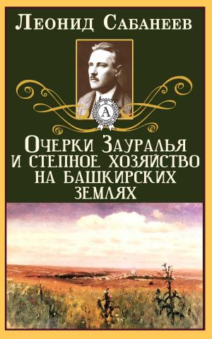 Book cover of Очерки Зауралья и степное хозяйство на башкирских землях