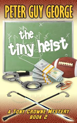 Cover of the book The Tiny Heist by Paul M. Carhart
