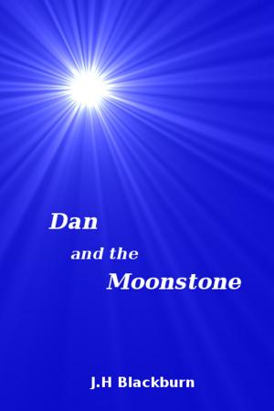 Cover of the book Dan and the Moonstone by Lethe Press, Inc.