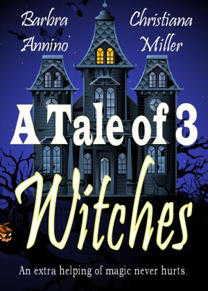 Cover of the book A Tale of 3 Witches by Shawn Speakman