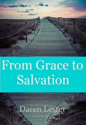 Cover of the book From Grace to Salvation by Daren Lester
