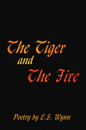 Book cover of The Tiger And The Fire
