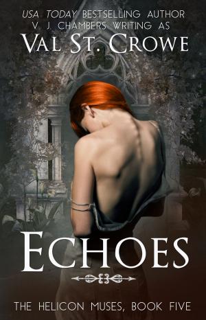 Cover of the book Echoes by C. B. Sinclair