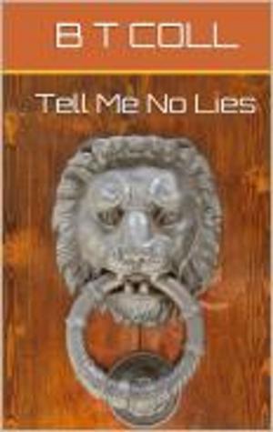 Cover of the book Tell Me No Lies by JD Ferguson