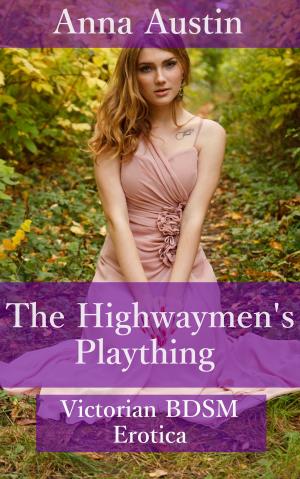 Book cover of The Highwaymen's Plaything