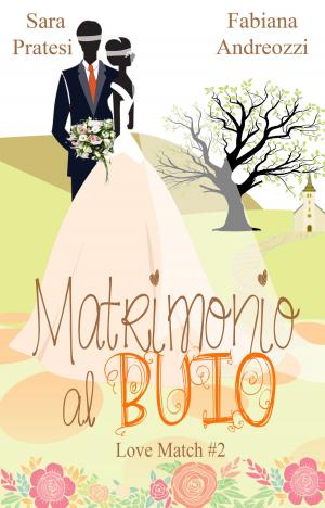 Book cover of Matrimonio al buio