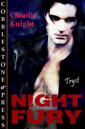 Cover of the book Night Fury by Aedre Cantrell