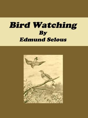 Cover of the book Bird Watching by Cornelius Shea