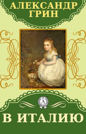 Book cover of В Италию