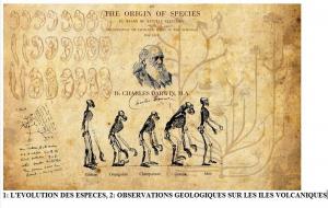Cover of the book l'évolution des espèces, et Observations géologiques sur les îles volcaniques by Gaston Leroux
