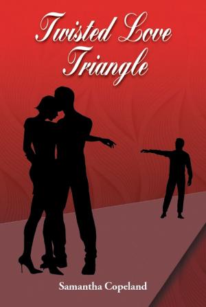 Cover of the book Twisted Love Triangle by L.J. Crum