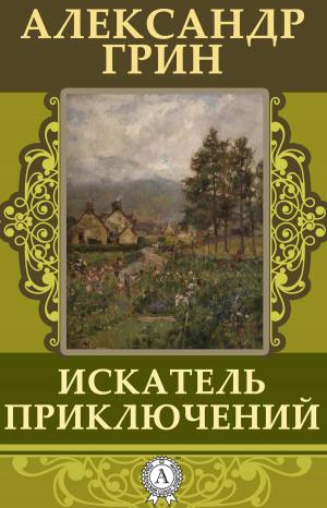 Book cover of Искатель приключений