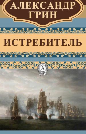 Book cover of Истребитель