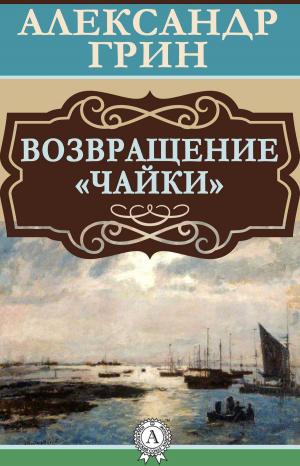 Book cover of Возвращение «Чайки»