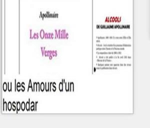 Book cover of 1 Guillaume Apolinaire: Les Onze mille verges ou les amours d'un hospodar et 2 alcools