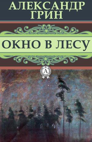 Book cover of Окно в лесу