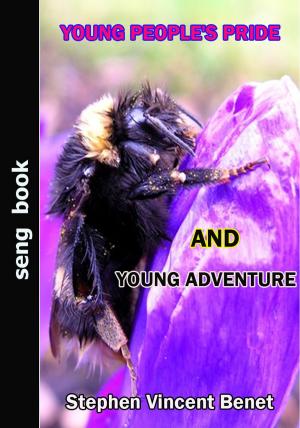 bigCover of the book YOUNG PEOPLE'S PRIDE AND YOUNG ADVENTURE by 