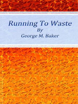 Book cover of Running To Waste