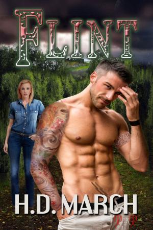 Cover of the book Flint by Imari Jade