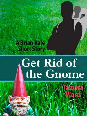 Book cover of Get Rid of the Gnome
