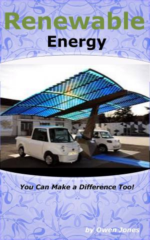 Book cover of Renewable Energy