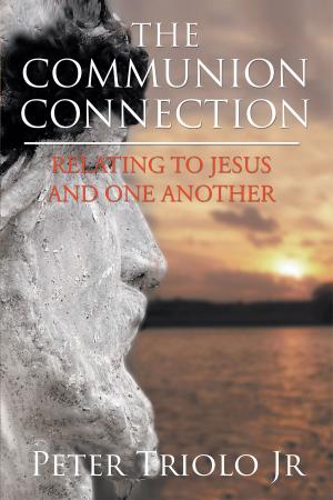 Cover of the book The Communion Connection Relating to Jesus and One Another by Janice Steinbeck