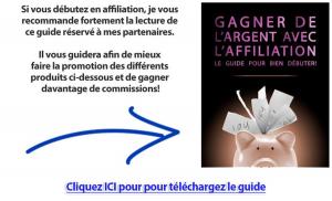 Cover of the book Comment gagner de l'argent avec l'affiliation ? by Dominik Ruisinger
