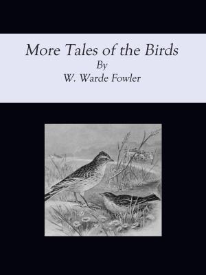 Cover of the book More Tales of the Birds by Arnold Bennett