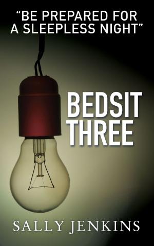 Book cover of Bedsit Three