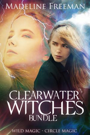 Cover of the book Clearwater Witches Bundle by E. G. Walker
