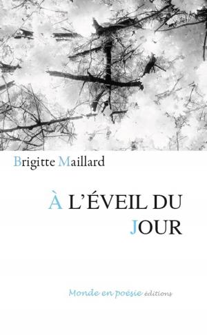 Cover of the book À l'éveil du jour by Diane Stein