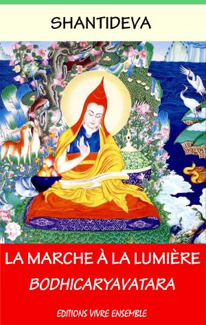 Cover of the book La marche à la lumière by Shawn Bolz, Lamont Hunt