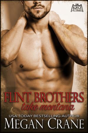 Book cover of The Flint Brothers Take Montana