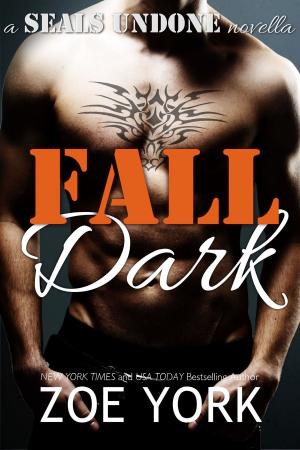 Cover of the book Fall Dark by Zoe York