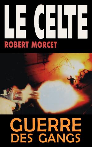 Cover of the book Guerre des gangs by Philippe Bouin
