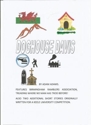 bigCover of the book DOGHOUSE DAVIS by 