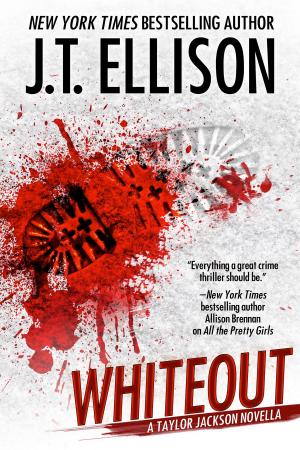 Cover of the book Whiteout by CJ Kross