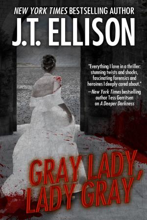 Cover of the book Gray Lady, Lady gray by Chris L. Adams
