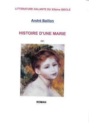 Cover of the book HISTOIRE D'UNE MARIE by PAUL ADAM